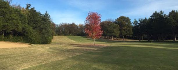 Welcome to Nashboro Golf Club - Nashboro Golf Club